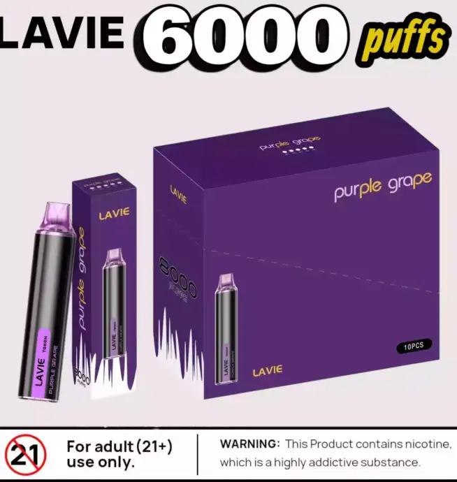 LAVIE Torch 6000 Puffs Kompakter Vape mit USB-C & 12 ml Liquid
